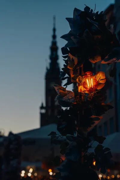 Atmospheric Light with the Town Hall Tower in the Background