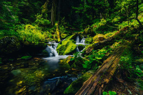 Mossy Cascades On The Trail To Pradziad