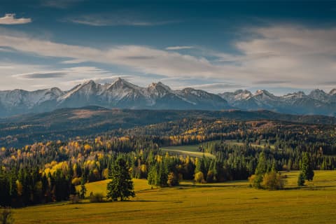 Autumn Meadows in Łapszanka