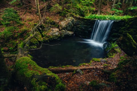 Forest Waterfall On The Way To Pradziad