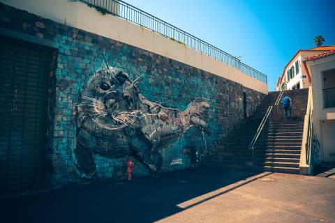 Mural w pobliżu portu Camara de Lobos