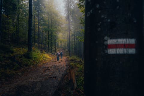 Red Trail Markers Below Barania Góra