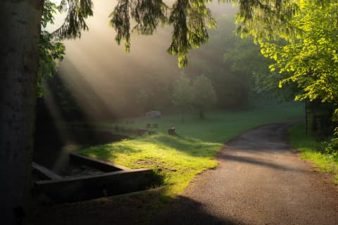 Morning Rays At The Ostra Trailhead