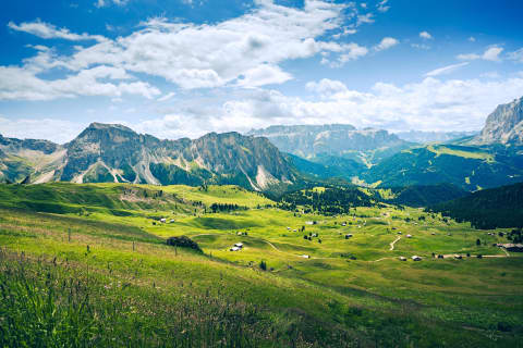 Letnie łąki nad Seceda, Val Gardena