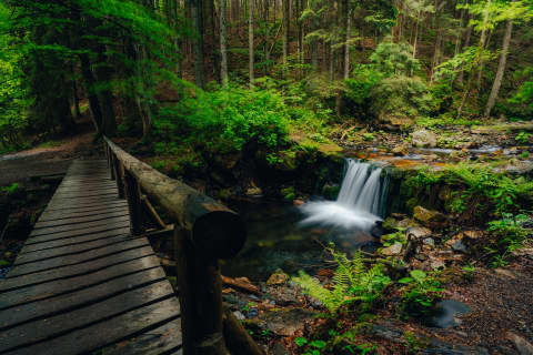 Footbridge By A Waterfall On The Praděd Trail