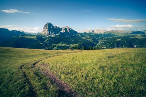 Łąkowa ścieżka w stronę Sassolungo, Alpe di Siusi