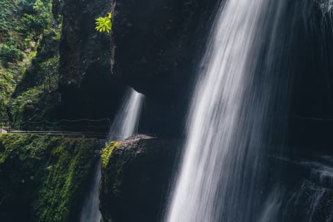 Levada Nova