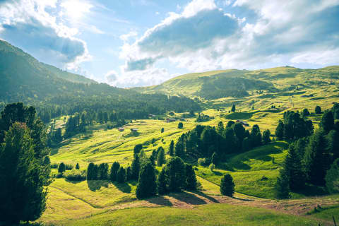 Letnie słońce na alpejskich łąkach Dolomitów