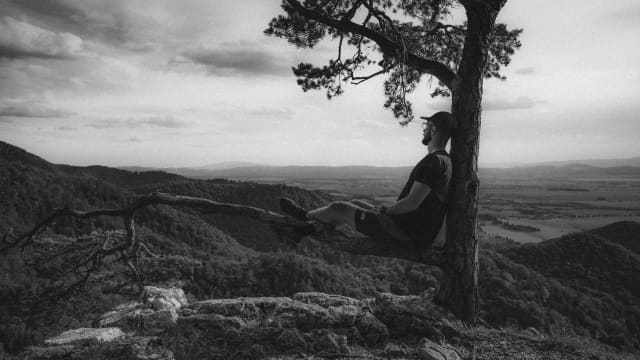 Resting Beneath The Pine Below Tlstá