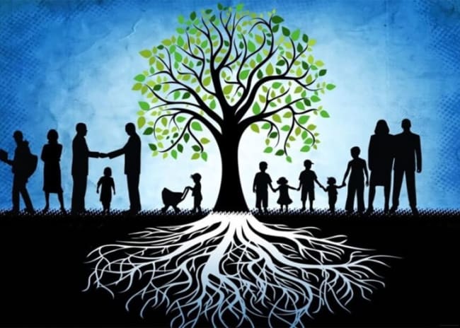 Consulenza di Biocostellazioni® Giuseppe Tantillo Zoppola -40%