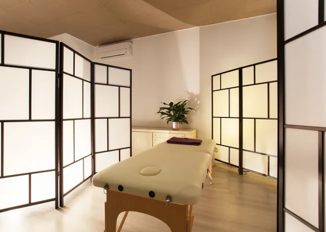 massaggi osteopatici decontratturanti elitropia milano -58%