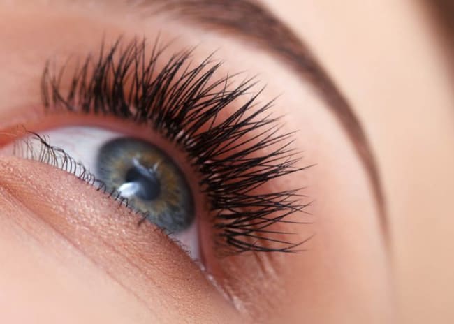 1 seduta di Extension ciglia One to One o Volume - 33%