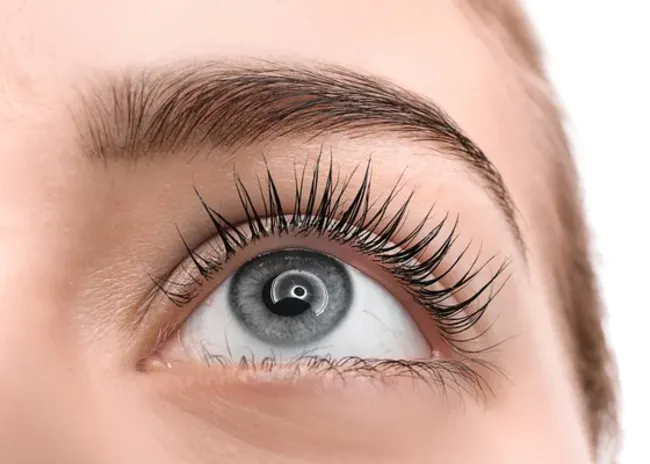 1 seduta di laminazione ciglia o sopracciglia -35%