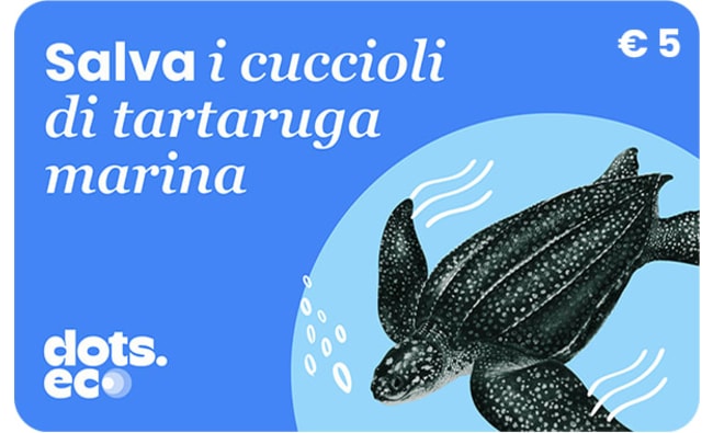 Dots.eco Salva i cuccioli di tartaruga marina Gift Card