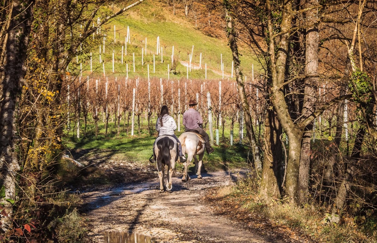  Ranch Val di Ronch - Cison di Valmarino