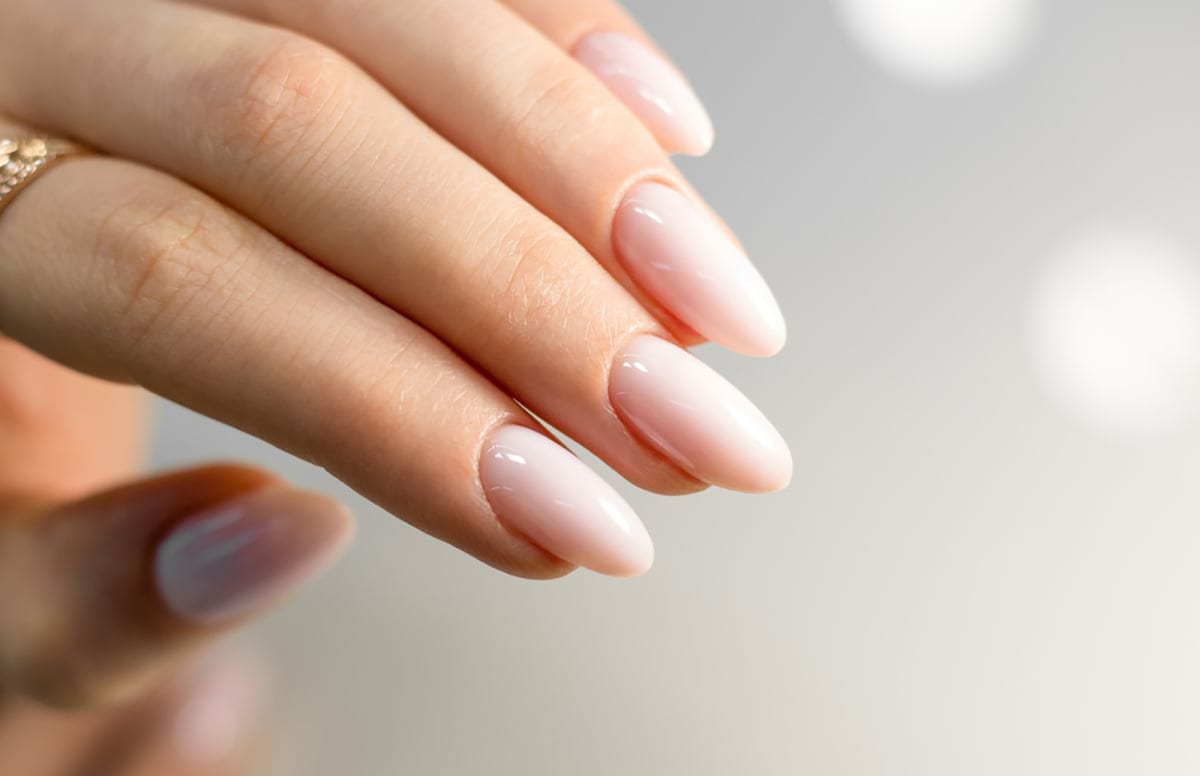 L'Esthetique Mestre