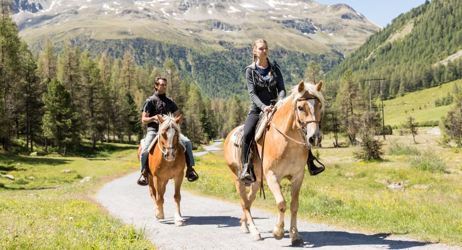 Passeggiata a Cavallo o E quitazione Collina Degli Stivali Torino -47%