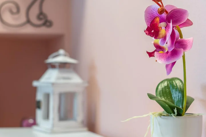 Epilazione Laser LuVi&Beauty Vittuone MI -73%