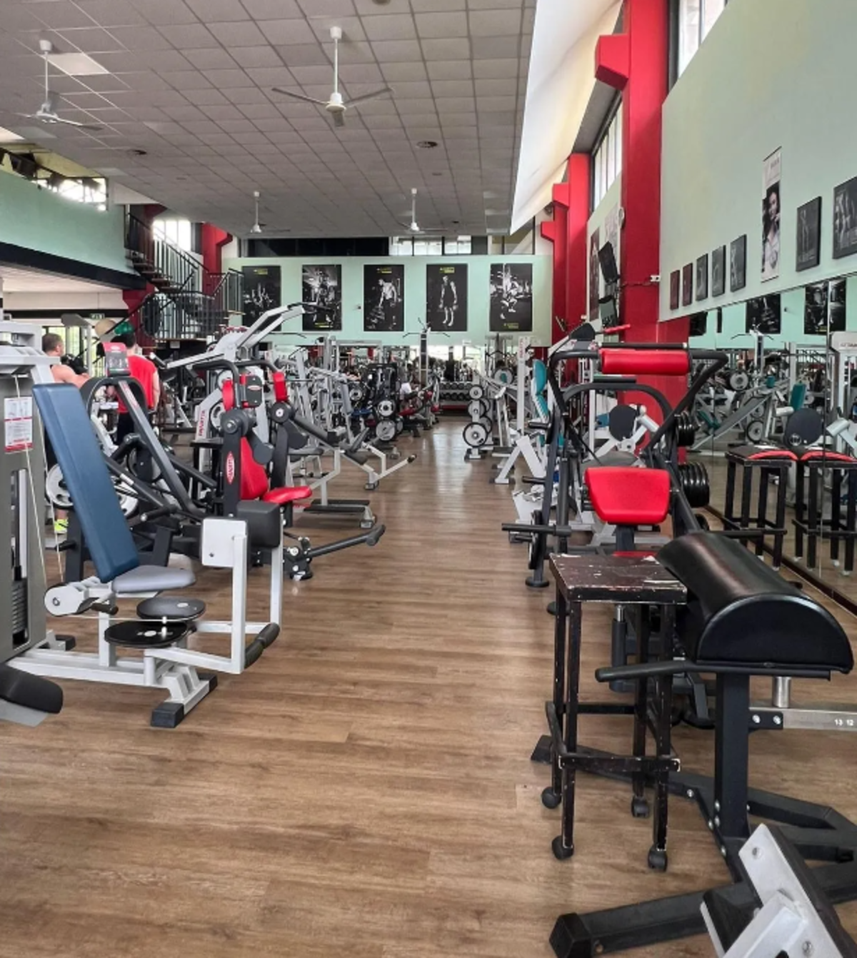 New Body Fitness