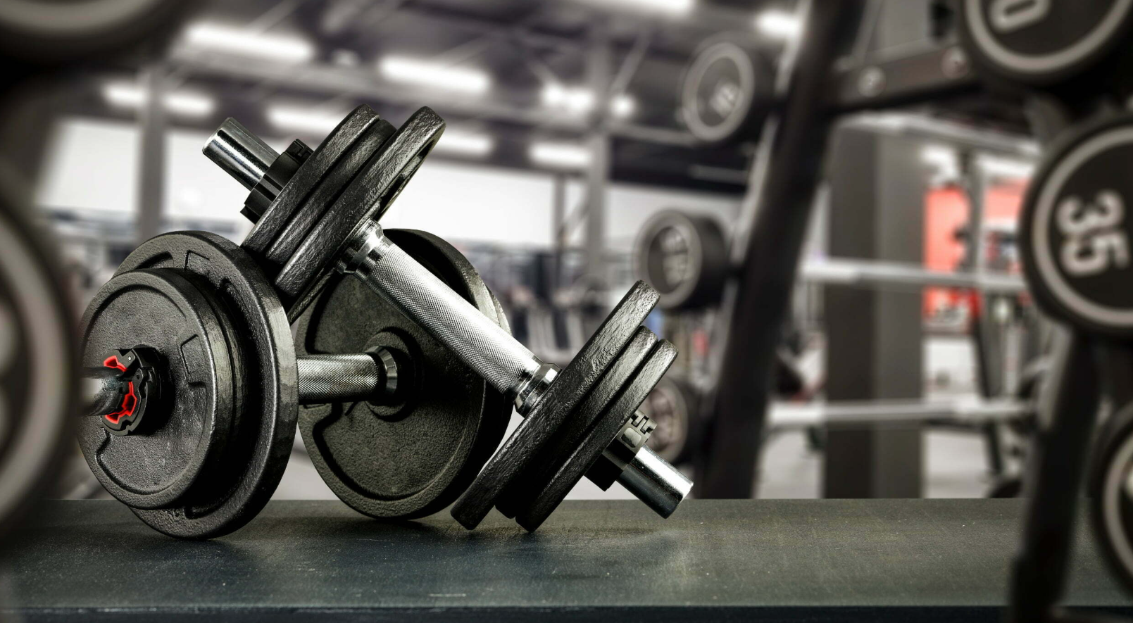 Abbonamento open fino a 12 mesi -64%