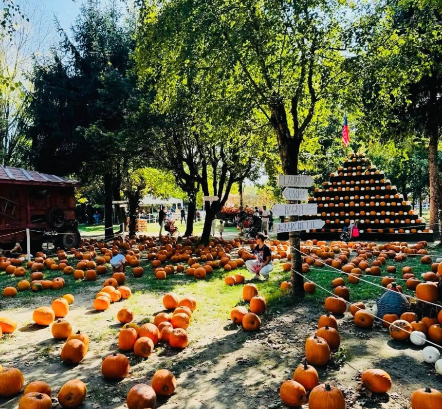 Il Villaggio delle zucche 6a edizione -39%