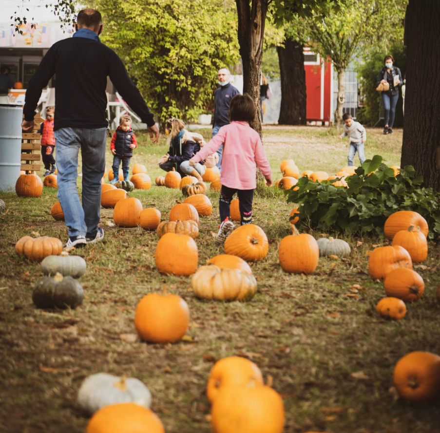 Il Villaggio delle zucche 6a edizione -39%