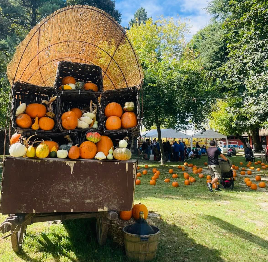 Il Villaggio delle zucche 6a edizione -39%