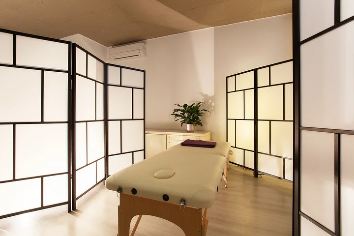 massaggi osteopatici decontratturanti elitropia milano -58%