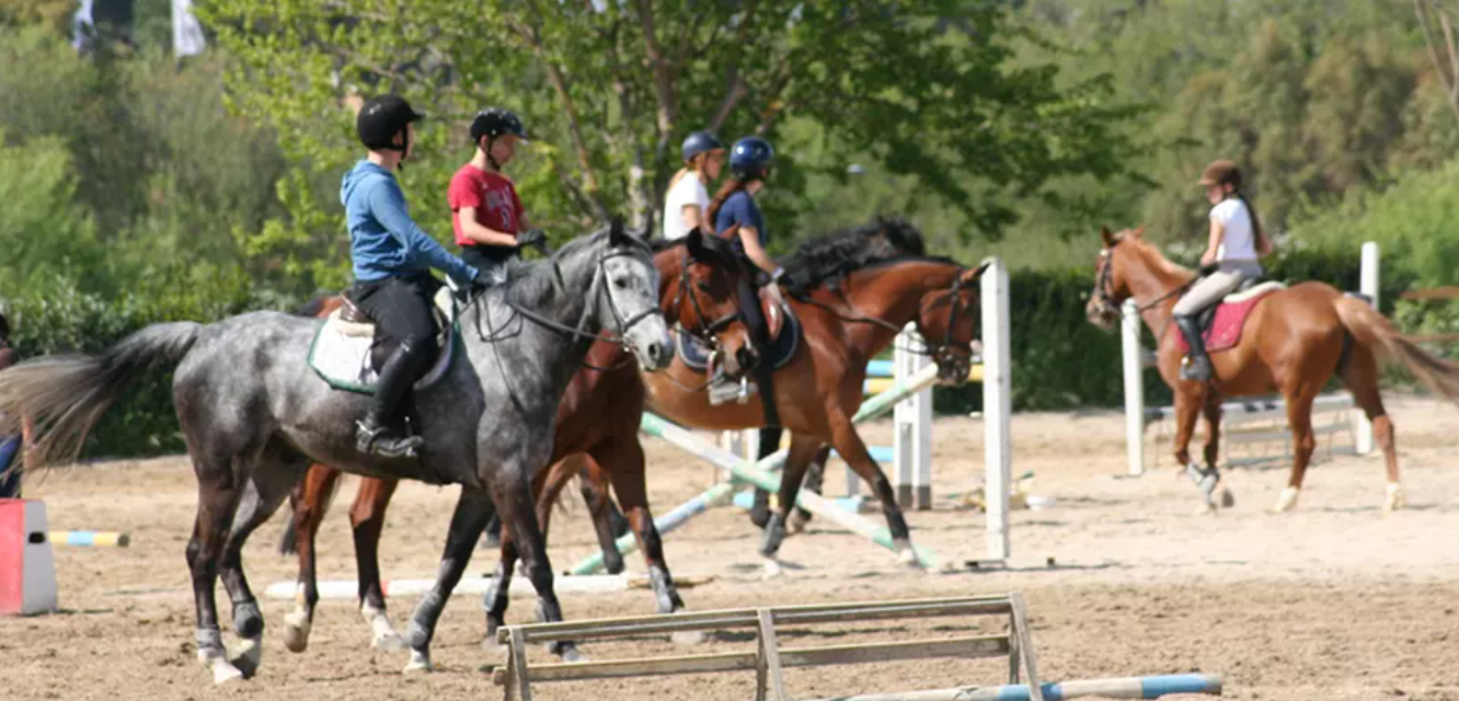 cavallo passeggiate equitazione circolo ippico acquasanta roma-59%