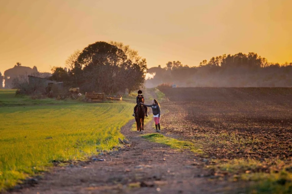 cavallo passeggiate equitazione circolo ippico acquasanta roma-59%