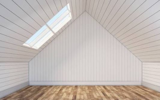 1844-JUNK-RAT-attic-empty