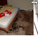 Basement Cleanout Before and After: Basement with Rubble vs. Clean Basement by 1-844-JUNK-RAT