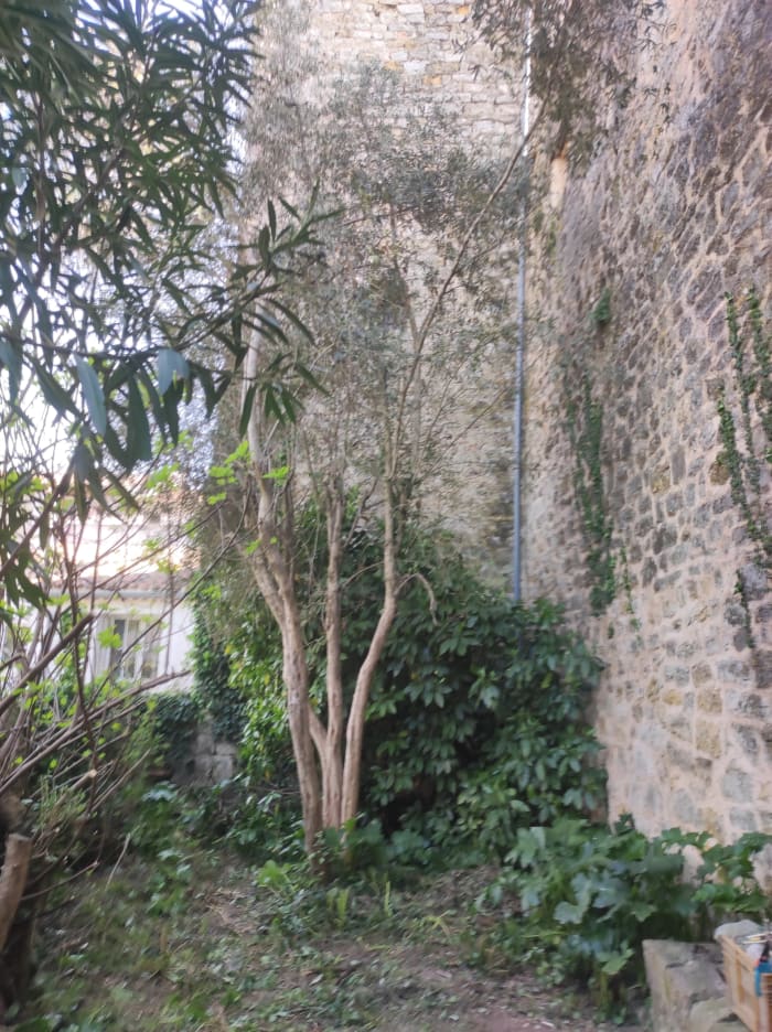 Lorgues, spacieuse maison  de village à rénover — photo 13