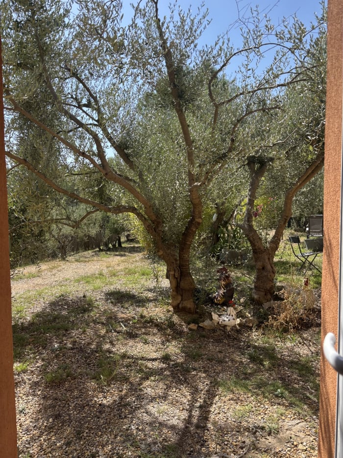 À Lorgues — photo 11