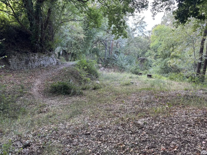 Le thoronet — photo 7