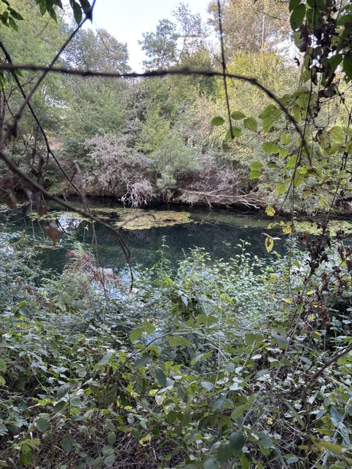 Le thoronet — photo 8