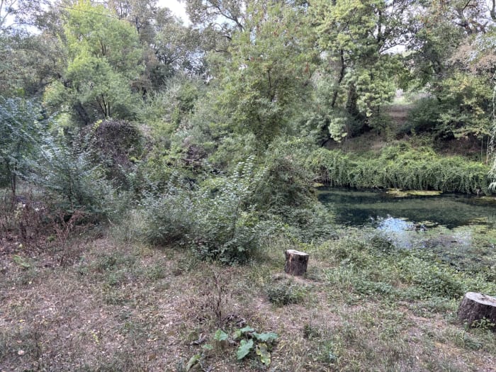 Le thoronet — photo 9