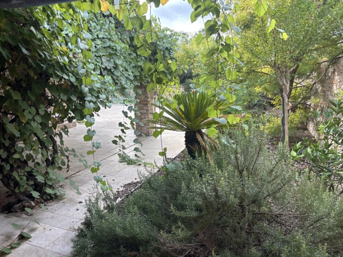 Lorgues,  charmante maison sur 1832 m2 — photo 13