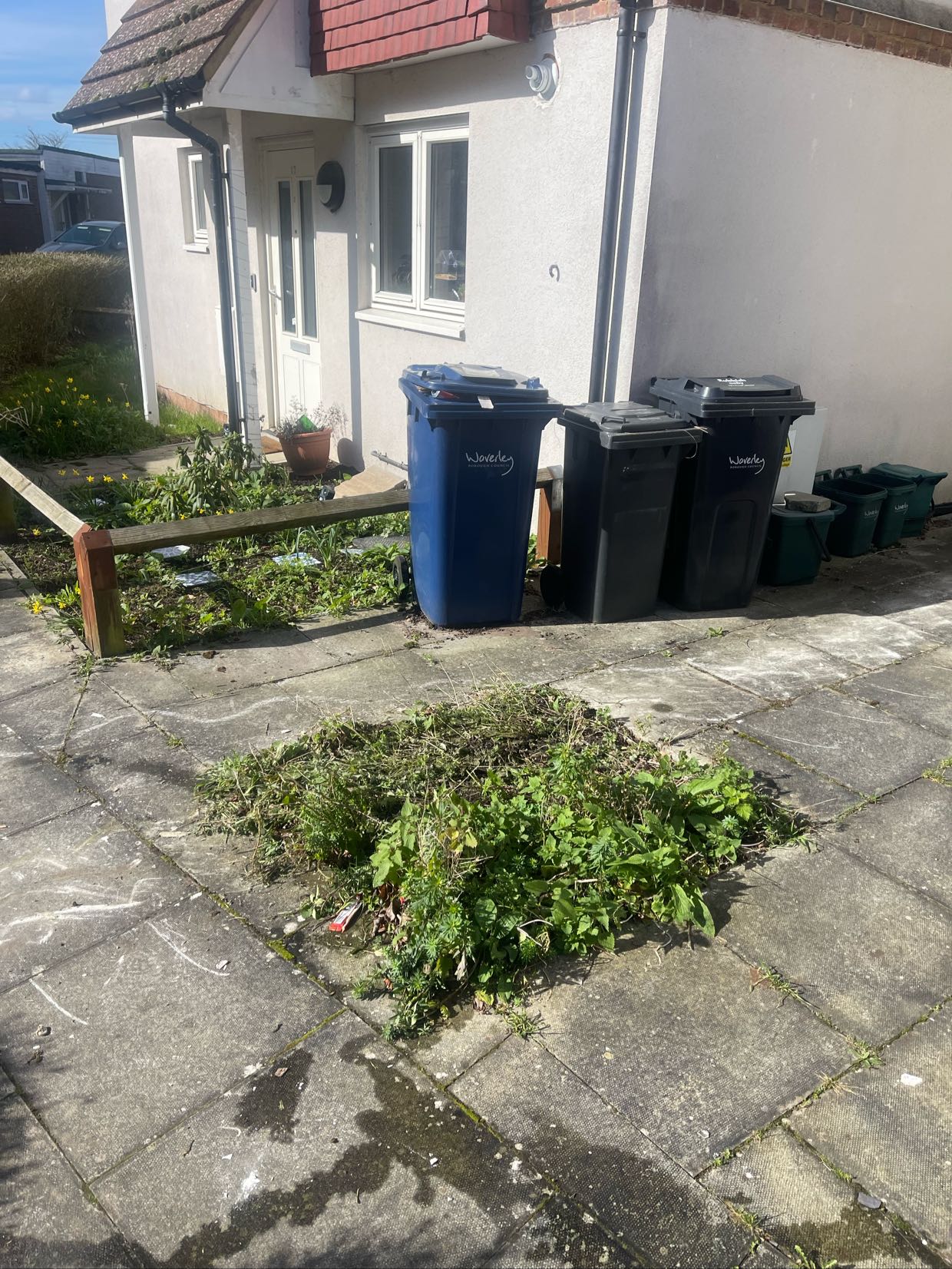 Photo from a Mr. Tippy rubbish clearance in Farnham