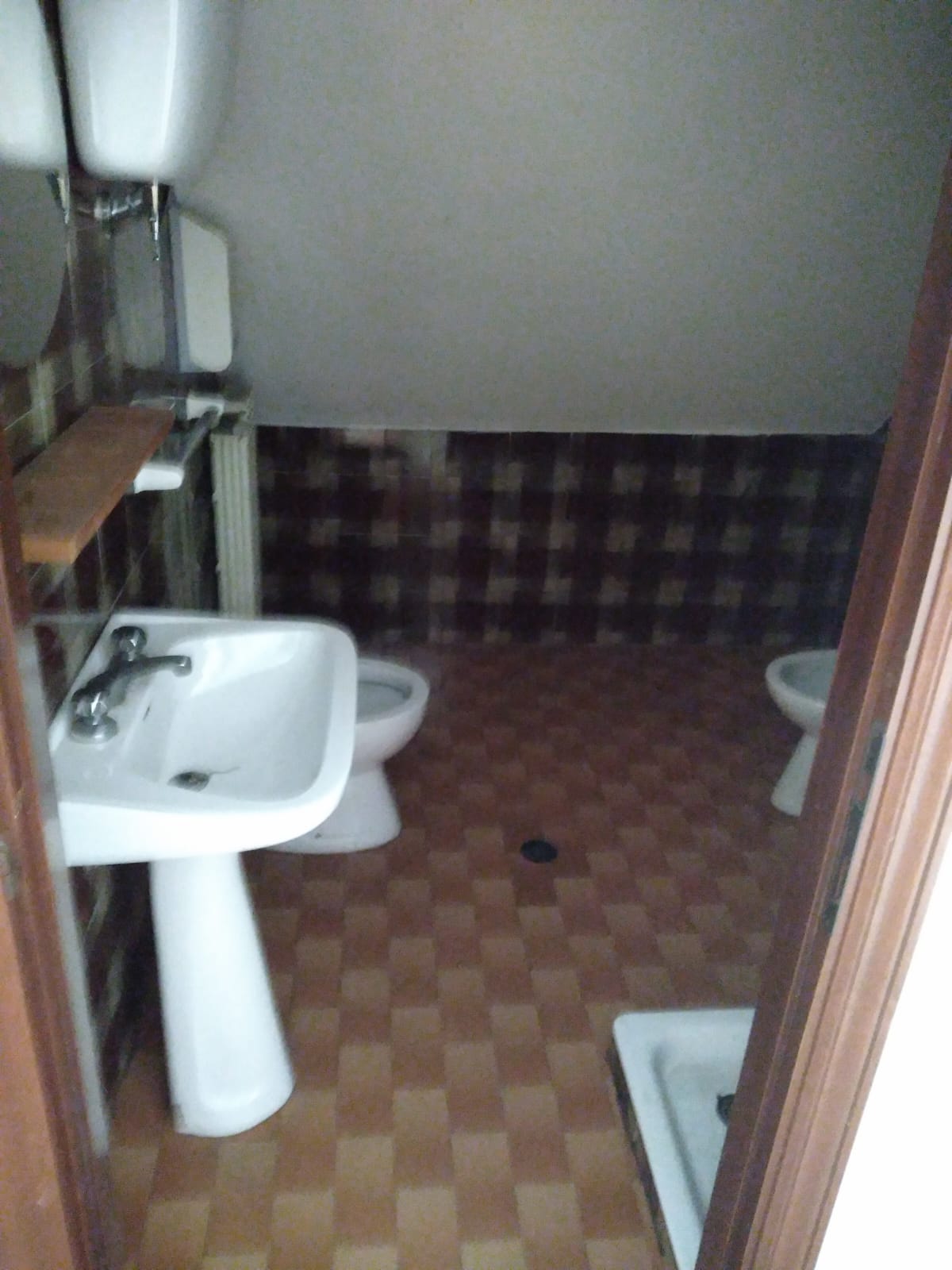 Ambiente camera