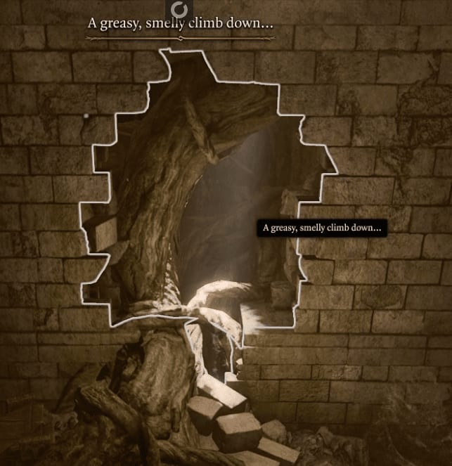 image-20231019223510287