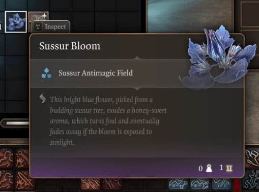 image-20230929234450674