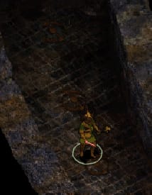 image-20200606153219740