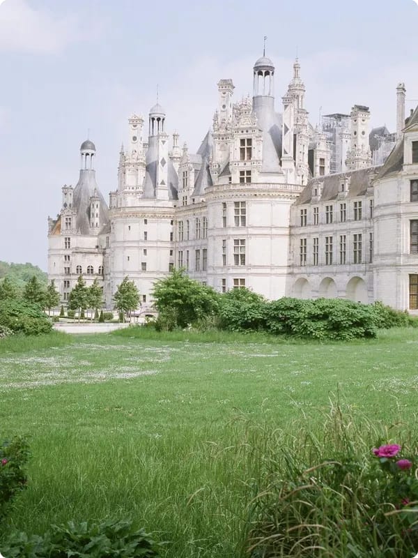 A view of the Château de Chambord, showcasing its distinctive French Renaissance architecture surrounded by lush greenery.
