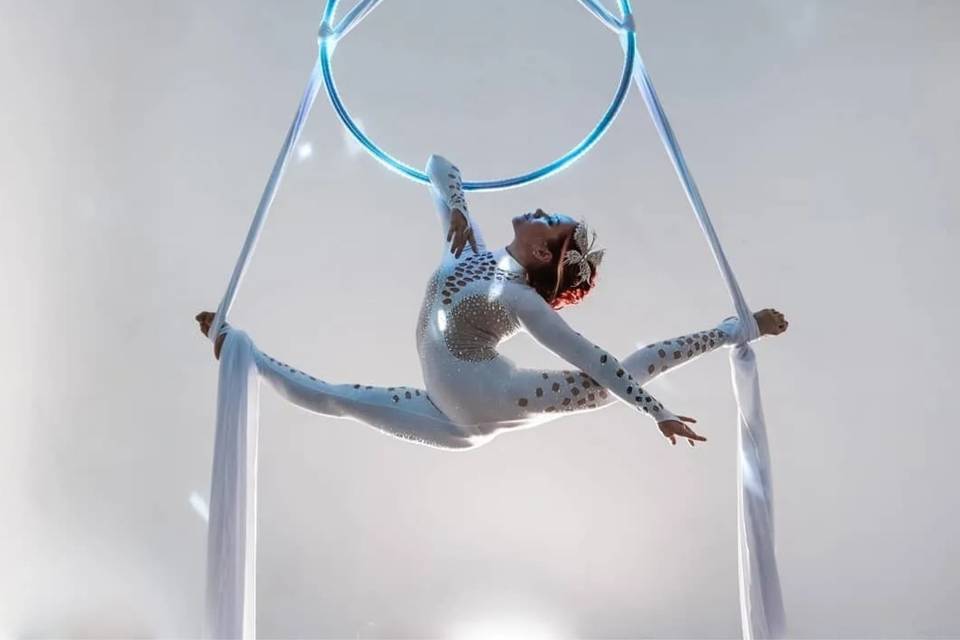 Palestra di Acrobatica Danza Aera Rimini