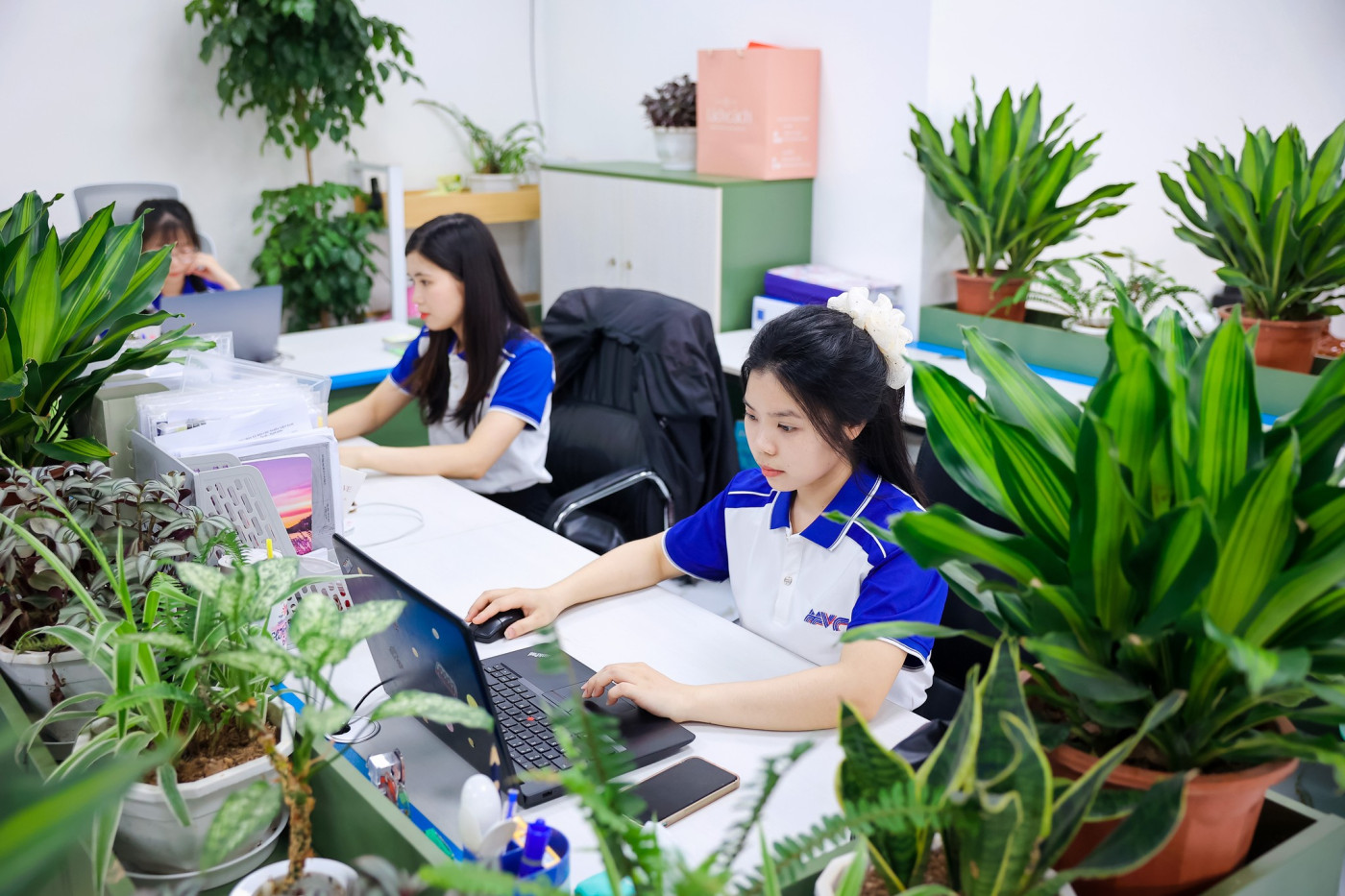 Chuyên viên DAVA lập báo cáo thẩm định giá đất nông nghiệp tại văn phòng
