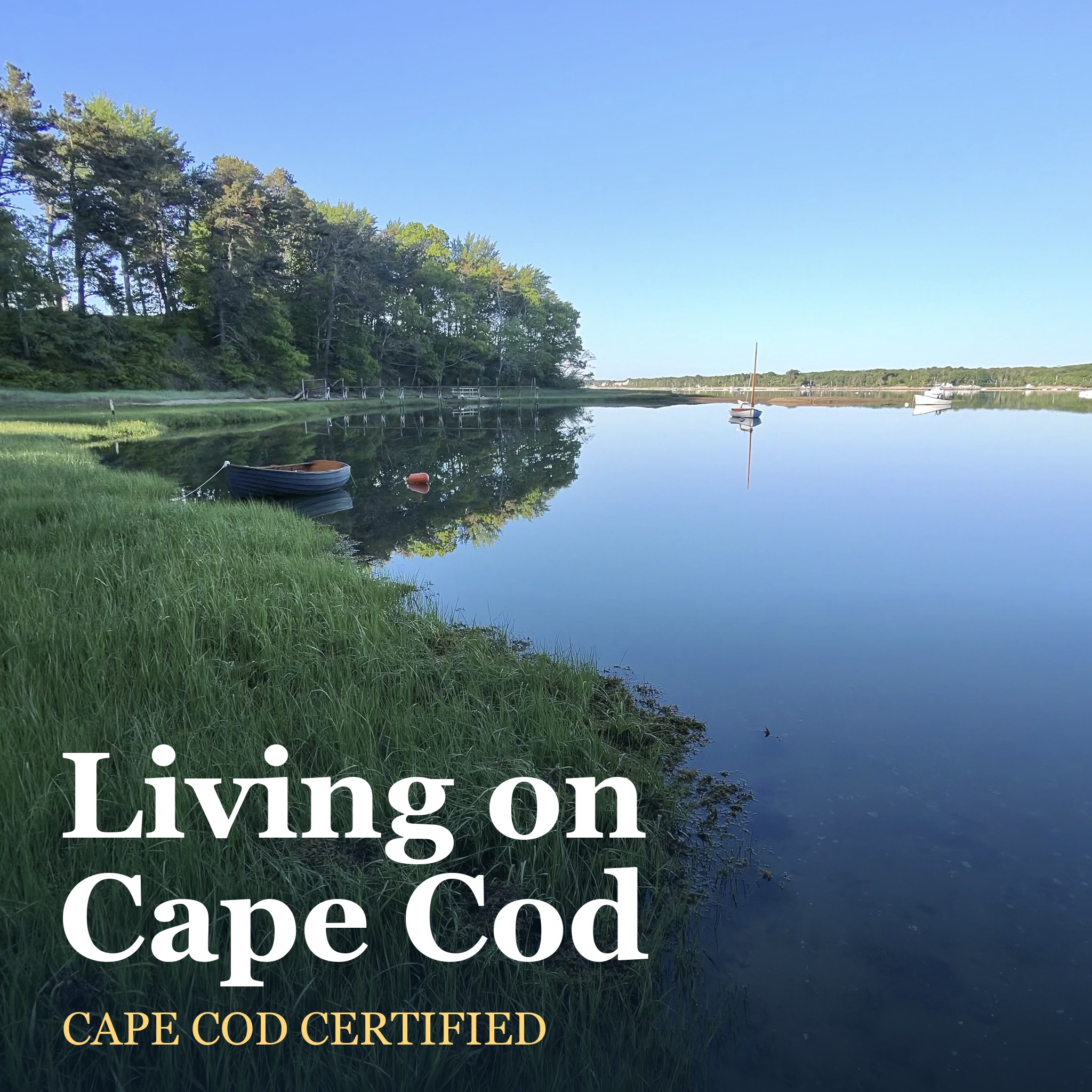 Logo of the podcast Living on Cape Cod Podcast Living on Cape Cod