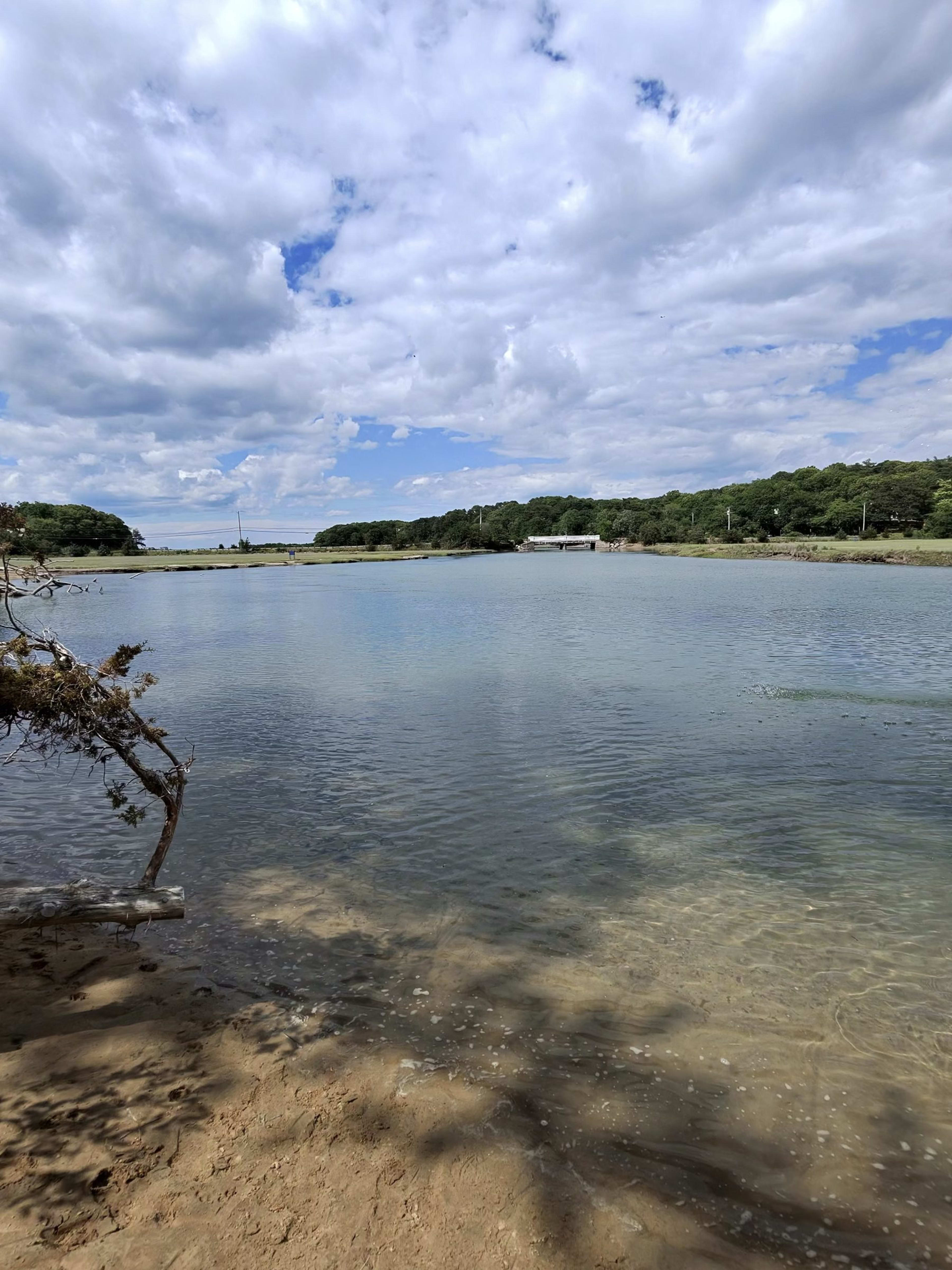 Barnstable landscape