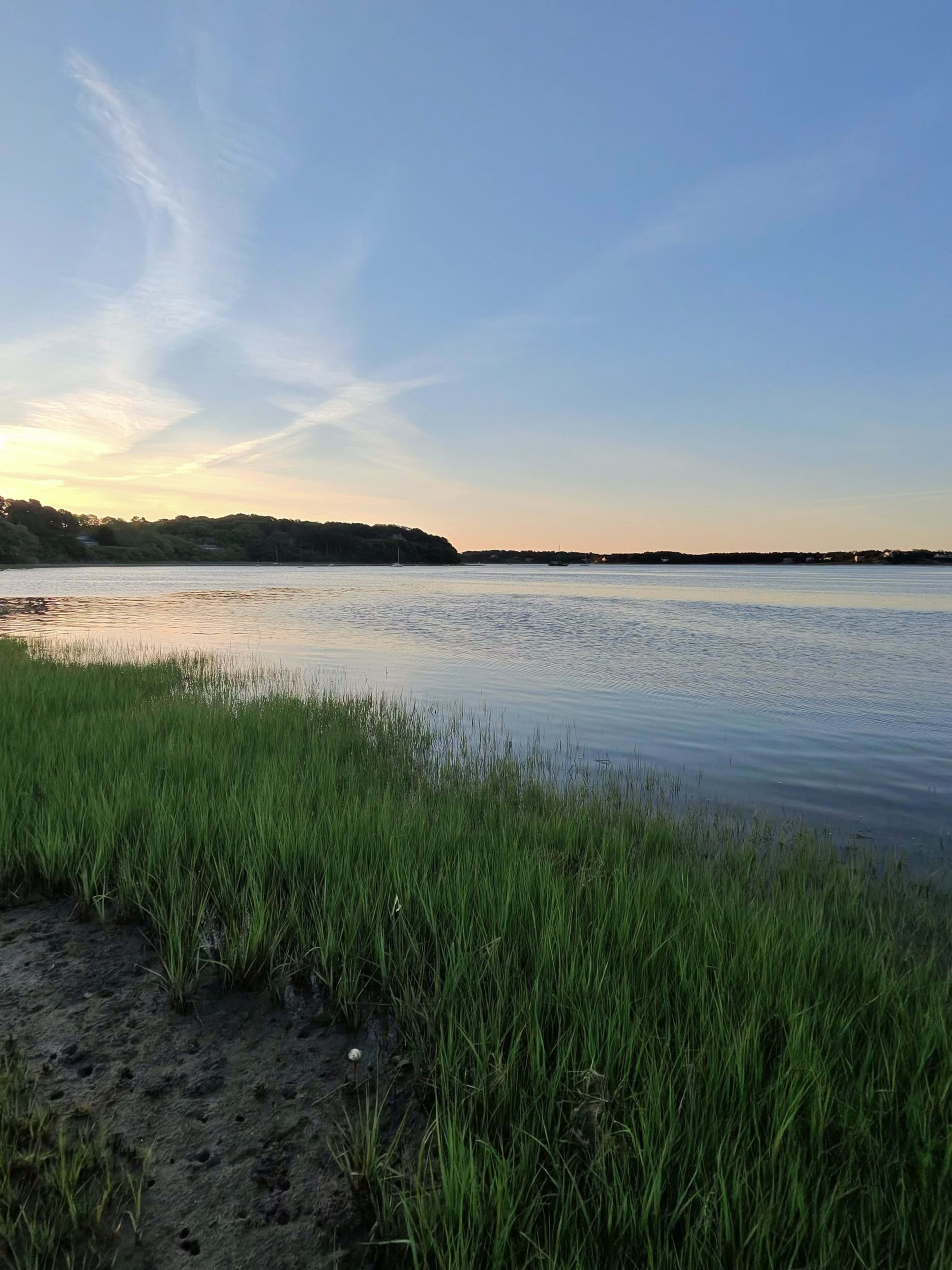 Wellfleet landscape