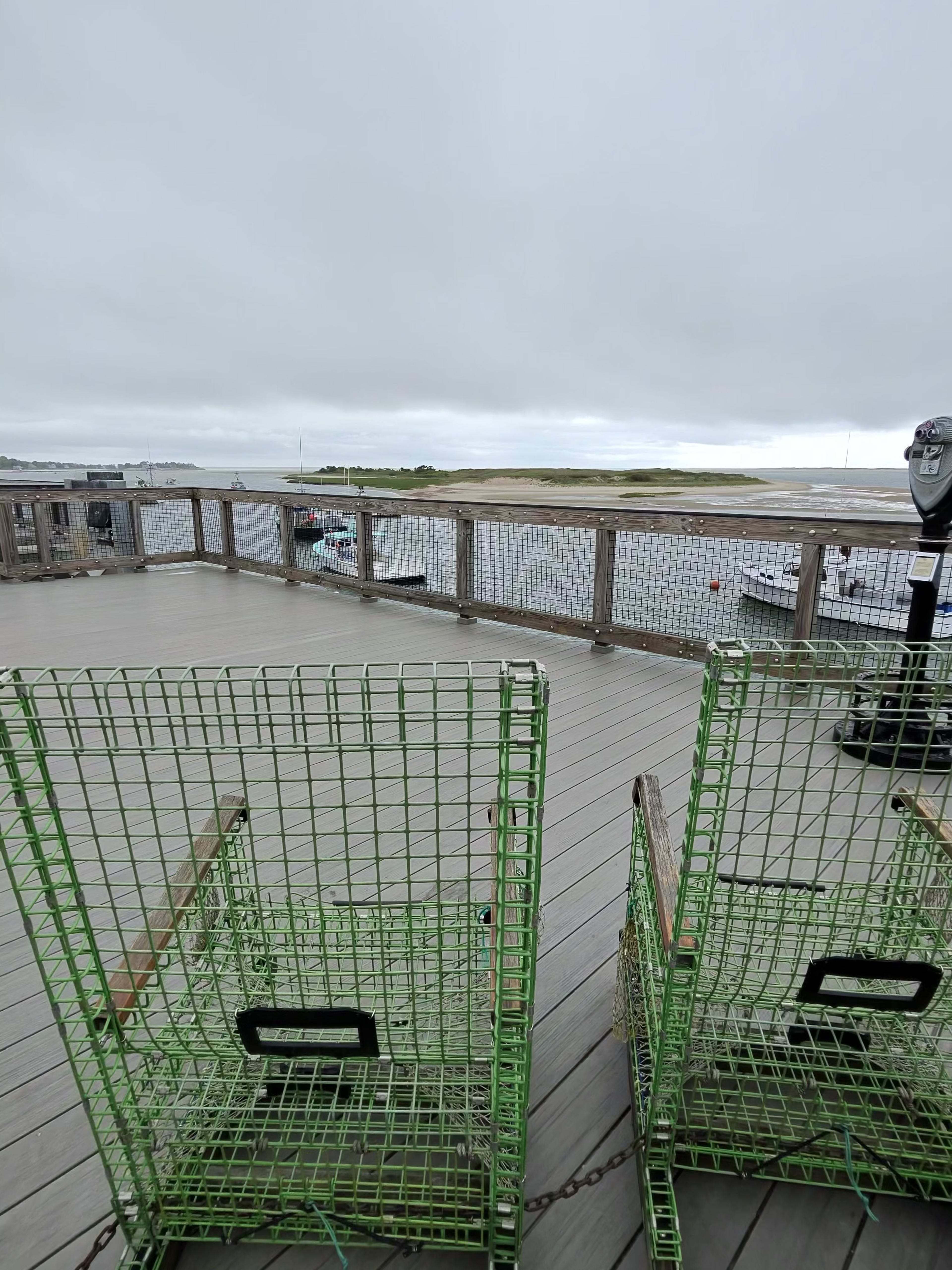 The Fall Run: Cape Cod's Best Fishing Season, September Through November